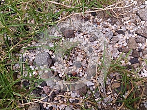 white silica sand mixed with small rocks.