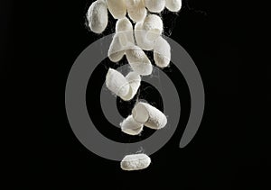 White silk cocoons falling on black background