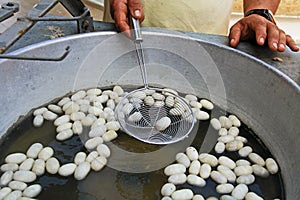 White Silkworm Cocoons Floating in Hot Water