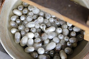 White silkworm cocoons in pot, The process of making silk