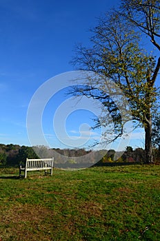 White Sitting bench in Worlds end park