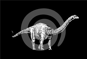Graphical diplodocus isolated on black background,vector