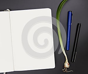 White sketchbook on black table. Artist workplace top view photo. Blank page of sketchpad and lily plant flat lay.