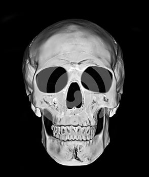 White skull