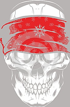 white skull logo Vector illustration DOWNLOAD