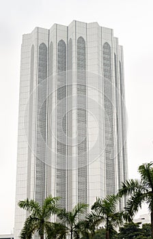 White skyscraper under green palms