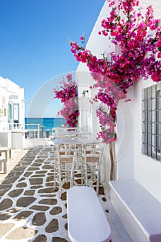 White small alley and houses with red bouganvillea flowers in Paros island