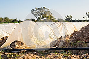 White small greenhouse in country garden in spring