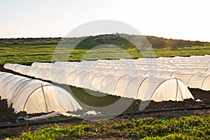 White small greenhouse in country garden in spring