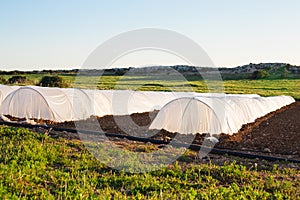 White small greenhouse in country garden in spring