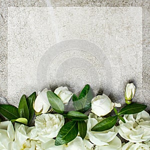 White small roses on grey background, space for text. Floral greeting card mockup. Wedding invitation,happy mother day or