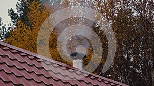 White Smoke From Chimney Of A House On A Red Tiled Roof On A Cold Autumn Evening
