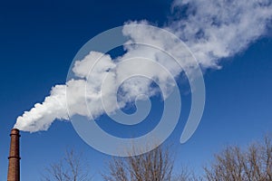 White smoke from an industrial pipe in a blue sky over trees without foliage. Background for design. Copyspace.
