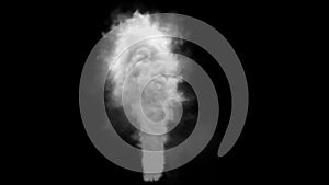 White smoke pollution