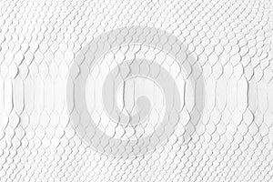 white snake skin texture with natural pattern, python leather surface background