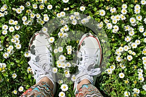 White sneakers in a dasiy field. woman walking