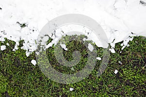 White snow lies on a young green grass