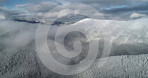 White snow pine mountain forest aerial panorama. Winter nobody nature landsape. Snowy high fir trees