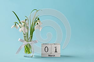 White snowdrops in a glass vase with bow and perpetual calendar with date 01 march against blue background. Small bouquet of the