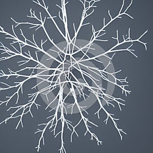 White snowflake abstract, neuron like on dark gray background