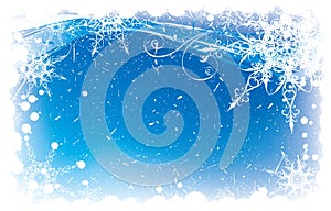 White snowflake in a blue background