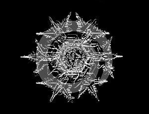 White snowflake isolated on black background. Illustration based on macro photo of real snow crystal: elegant star plate