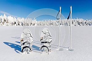 White snowshoes with trekking poles in the snow on the winter forest and snowy background. Snowshoeing in Finland