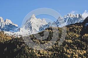 White snowy Alps mountains and green trees hill