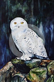 White snowy owl in the forest watercolor