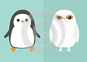 White Snowy owl Penguin bird icon set. Sitting bird with wings. Snow barn. Yellow eyes. Arctic Polar animal collection. Baby educa