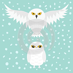 White Snowy owl. Sitting flying bird with wings. Snow barn. Yellow eyes. Arctic Polar animal collection. Baby education. Flat desi