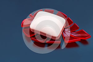 White soap in soap dish