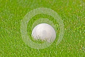 White Soccer Ball In Green Grass