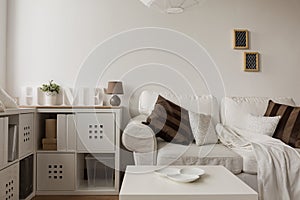 White sofa and brown cushions