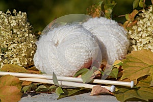 White soft balls of woll ready for needlework