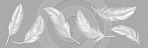 White soft feathers on transparent background