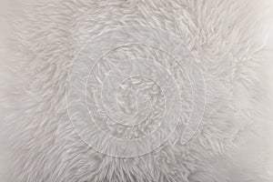 White soft and fluffy lambskin closeup