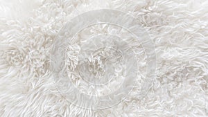 White soft wool texture background, seamless cotton wool, light natural sheep wool, close-up texture of white fluffy fur, wool wit