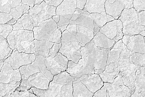 White soil drought cracked texture