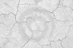 White soil drought cracked texture