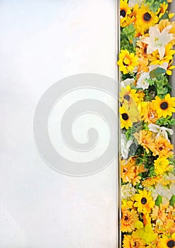 White space with Sunflower background