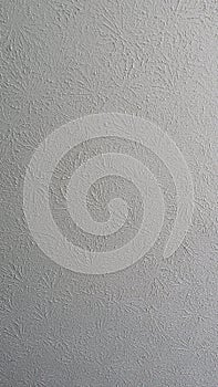 White Spackle Ceiling