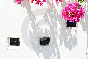 White Spanish Stucco Wall with Bougainvillea Blossoms