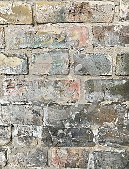 White, speckled, granular, industrial bricks are a keen backdrop - BACKGROUND