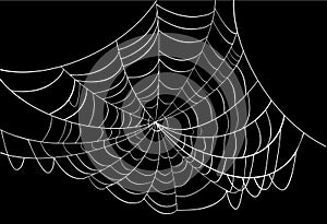 White spider web on black