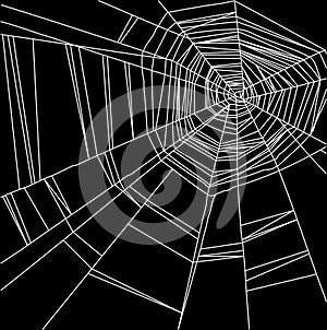 White spider web isolated on the black background