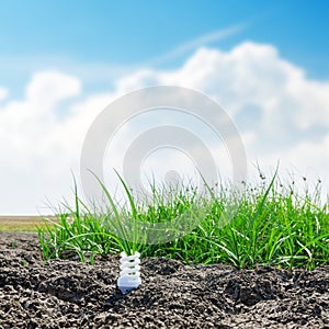 White spiral eco bulb on desert with green grass