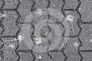 White Splashed Brick Stone Texture