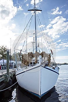 White Sponge Boat Front