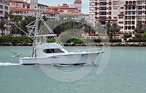 White sport fishing boat with flying bridge